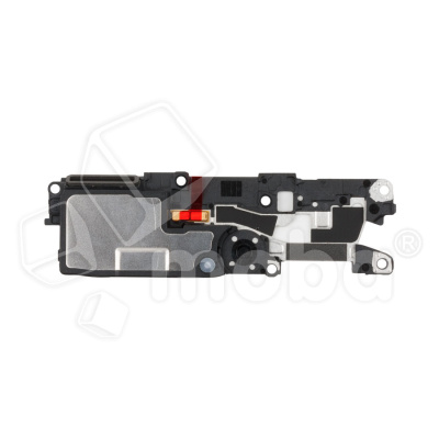 BUZ-HUW-HNR-50-LT-CP