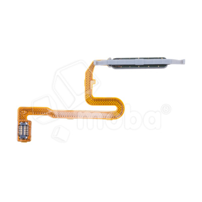 FPC-XMI-RMINT-10-PR-FP-B_1