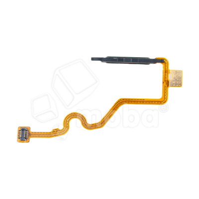 FPC-TCN-SPR-GO-2024-FP-LHT-BLU_1