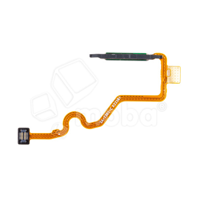 FPC-TCN-SPR-10C-FP-B_1