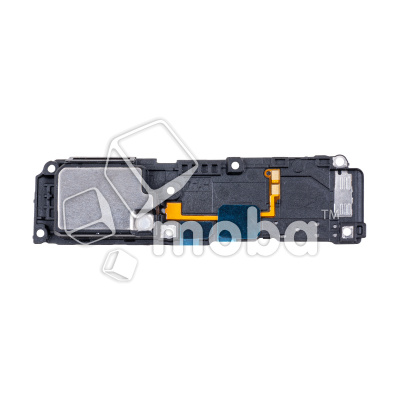 BUZ-XMI-12T-CP_1